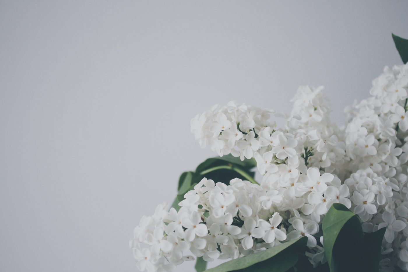 diy-floral-arrangement-easy