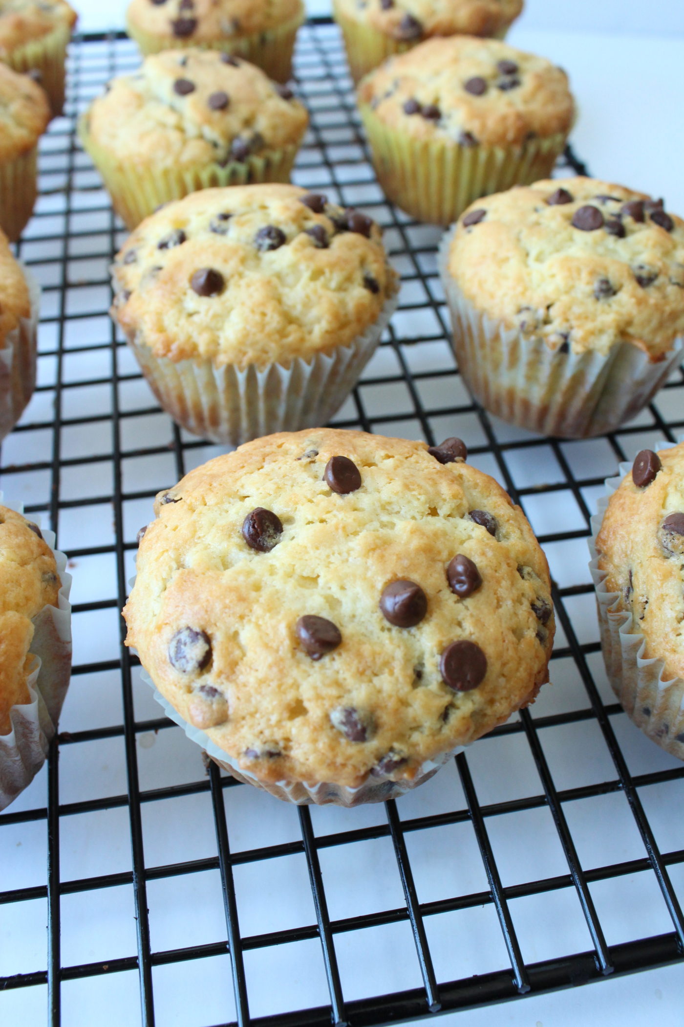 Chocolate chip muffins | Eat.Drink.Frolic.
