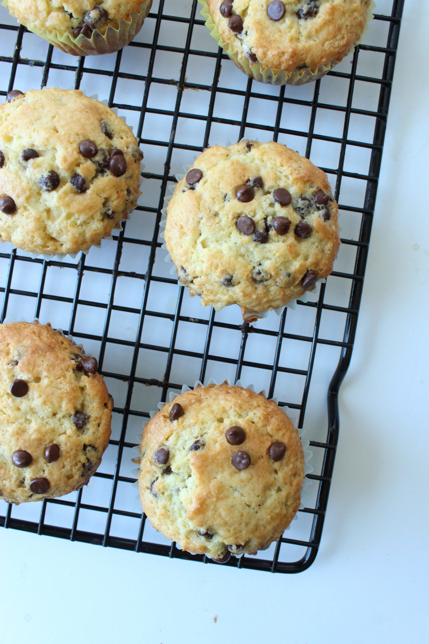 Chocolate chip muffins | Eat.Drink.Frolic.