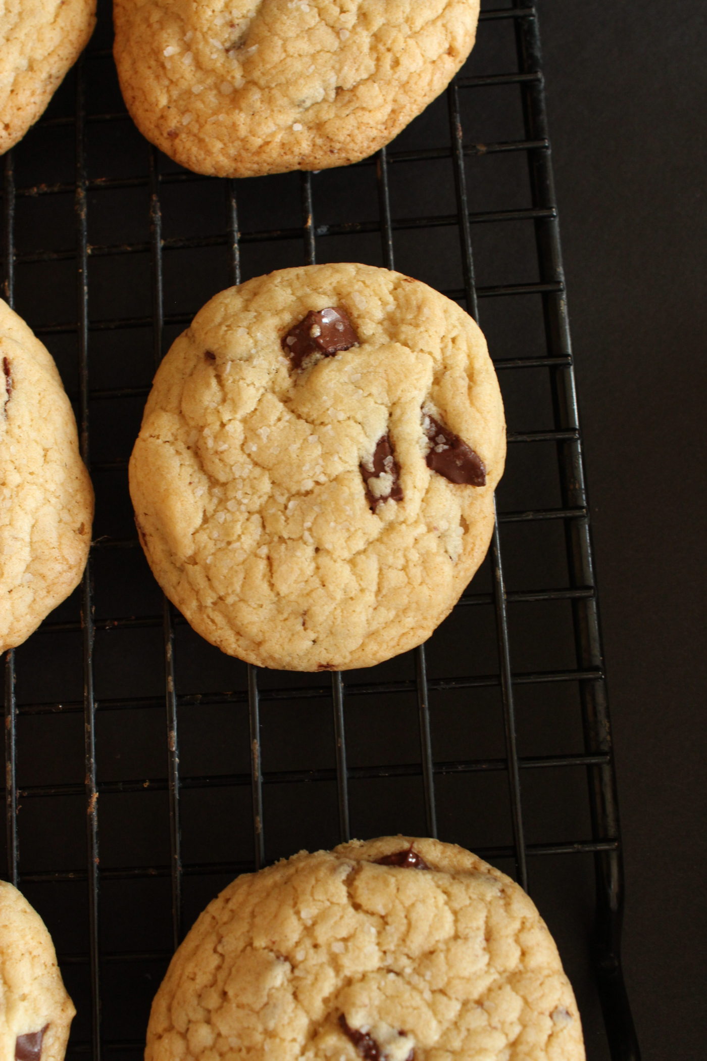 Chocolate chip cookies on cooking rack.